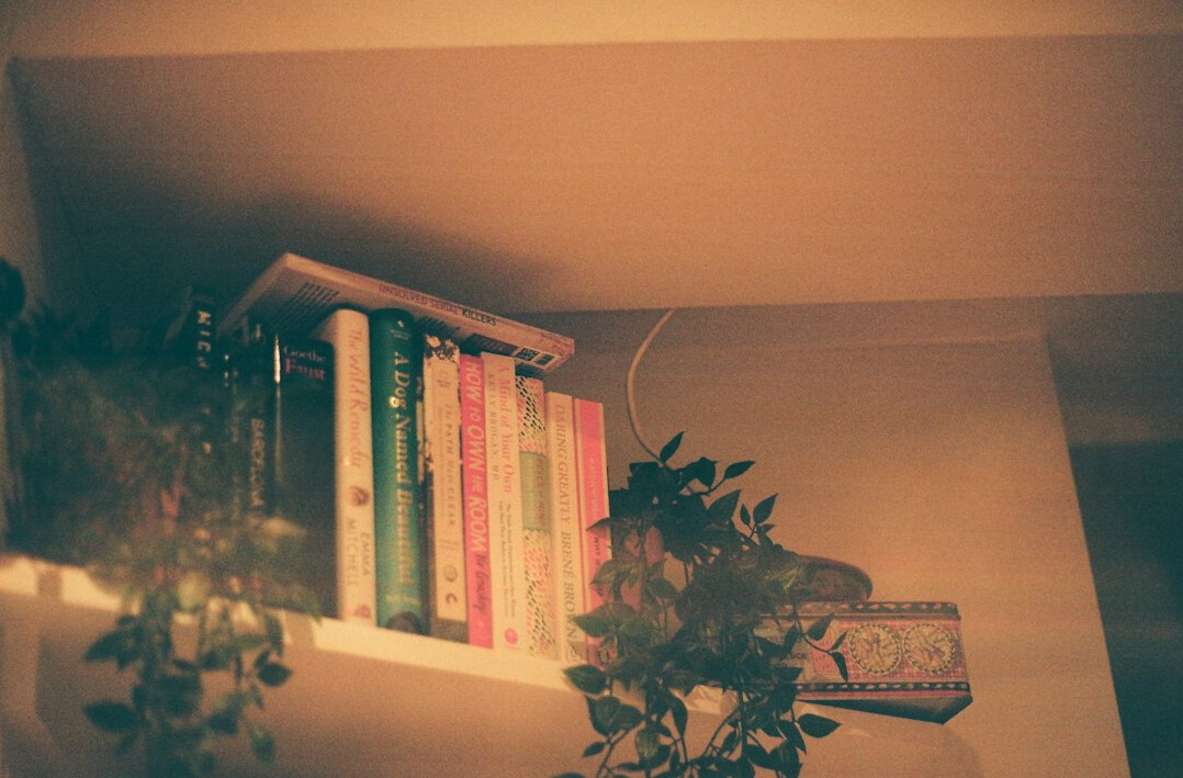 cozy library bookshelf